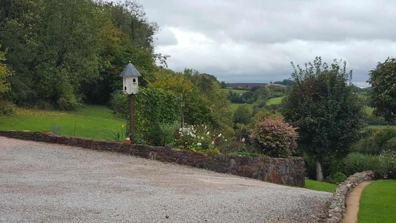 Immaculate 1-Bed Lodge Newton Abbot Torquay Kingskerswell المظهر الخارجي الصورة